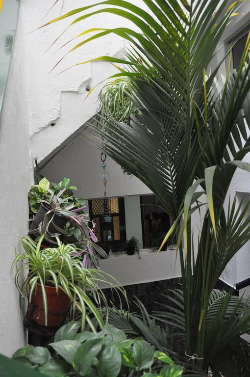 Falow Las Palmas de Gran Canaria Ngoại thất bức ảnh